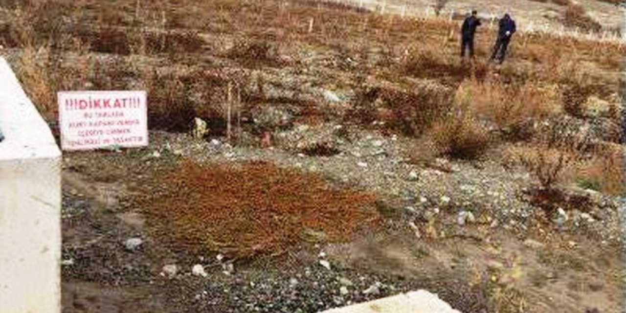Tavşanlı’da 9 Dekarlık Ceviz Bahçesi Destekleme Kapsamına Alındı