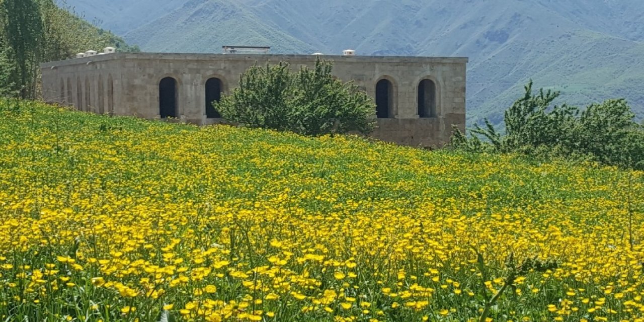“kayme Sarayı” Fotoğrafının Bira Kutusuna İşlenmesi Tepki Çekti