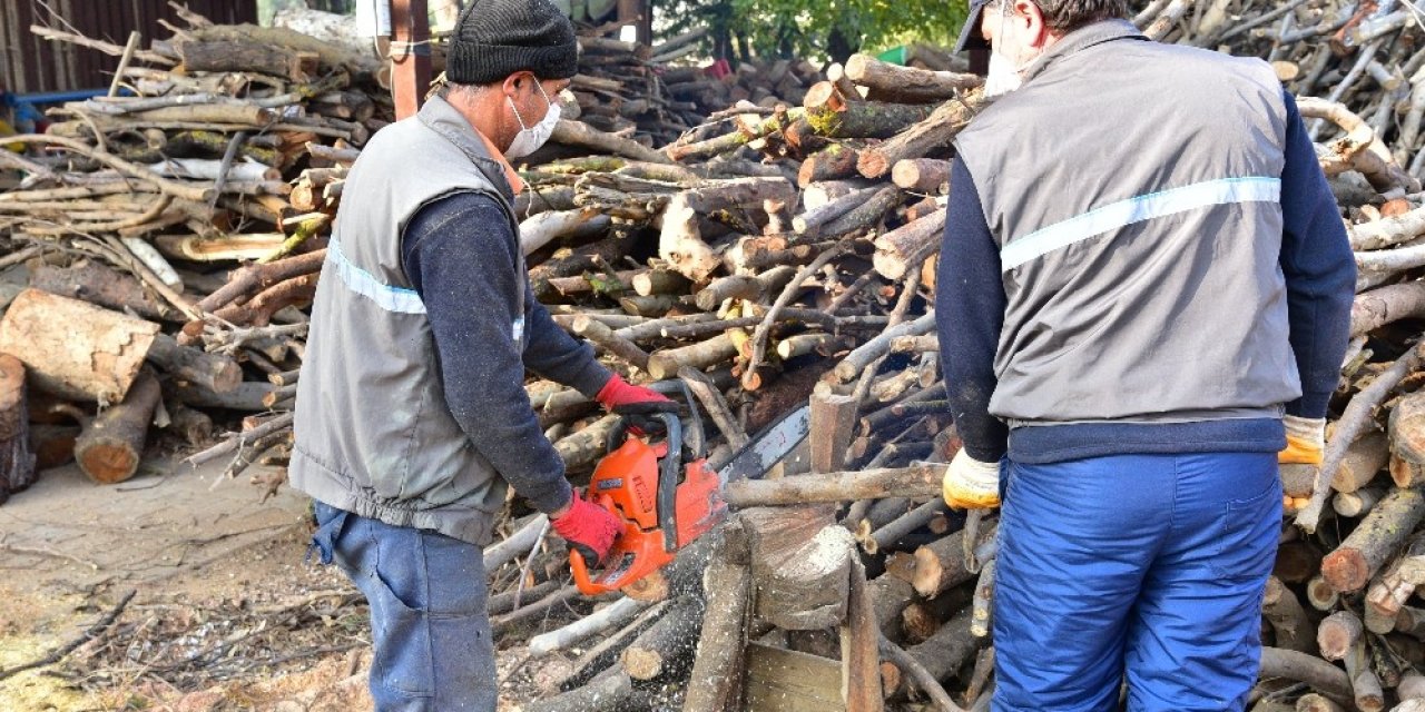 Budanan Ağaçlar İhtiyaç Sahiplerine Yakacak Oluyor