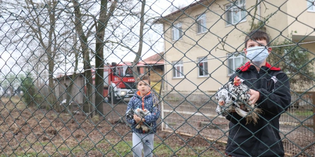 Kazan Dairesi Patladı, Yaptıkları İlk İş Kümesten Tavukları Kurtarmak Oldu