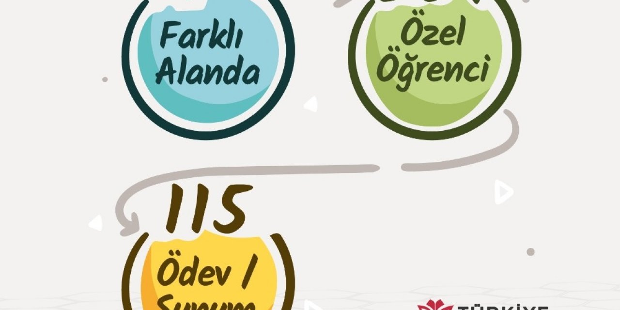Ytb, Türkiye Mezunları Ve Uluslararası Öğrencilere Eğitimler Vererek Mali Destek Sağladı