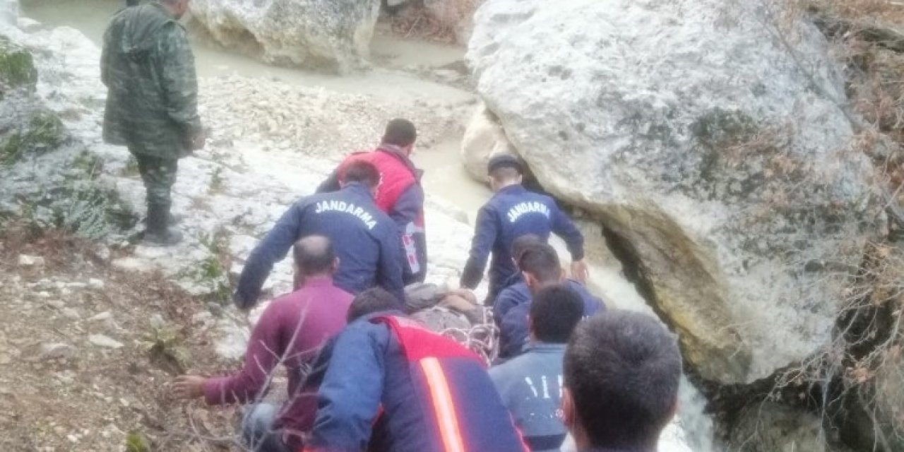 Mantar Toplarken Düşerek Yaralanan Şahıs Ortak Operasyonla Kurtarıldı