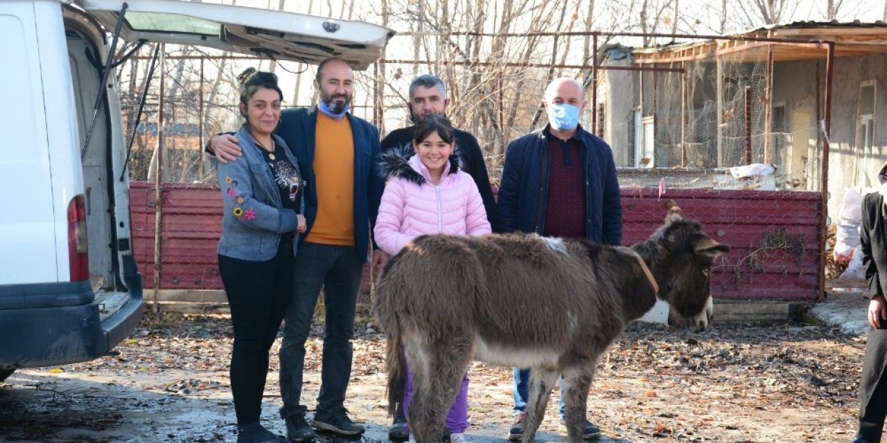 Eziyet Edilen Eşek, İzmir’e Gönderildi
