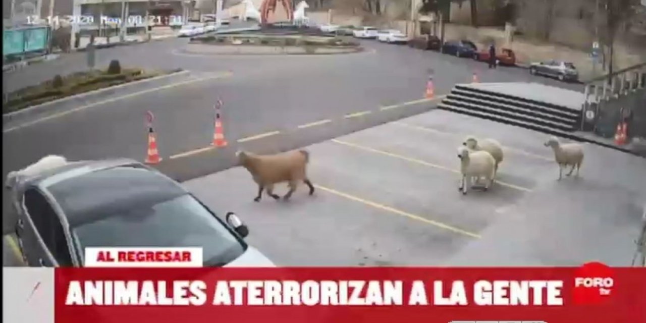 Dünya, Nevşehir’i Konuştu