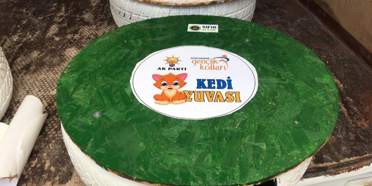 Atıklardan Kedi Yuvası