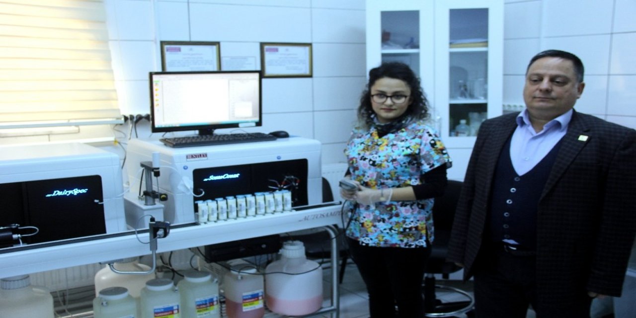 Günay: “normalde En Kötü 60 Ton Süt Toplarken Şuan 40 Tonlara Kadar Düştü”