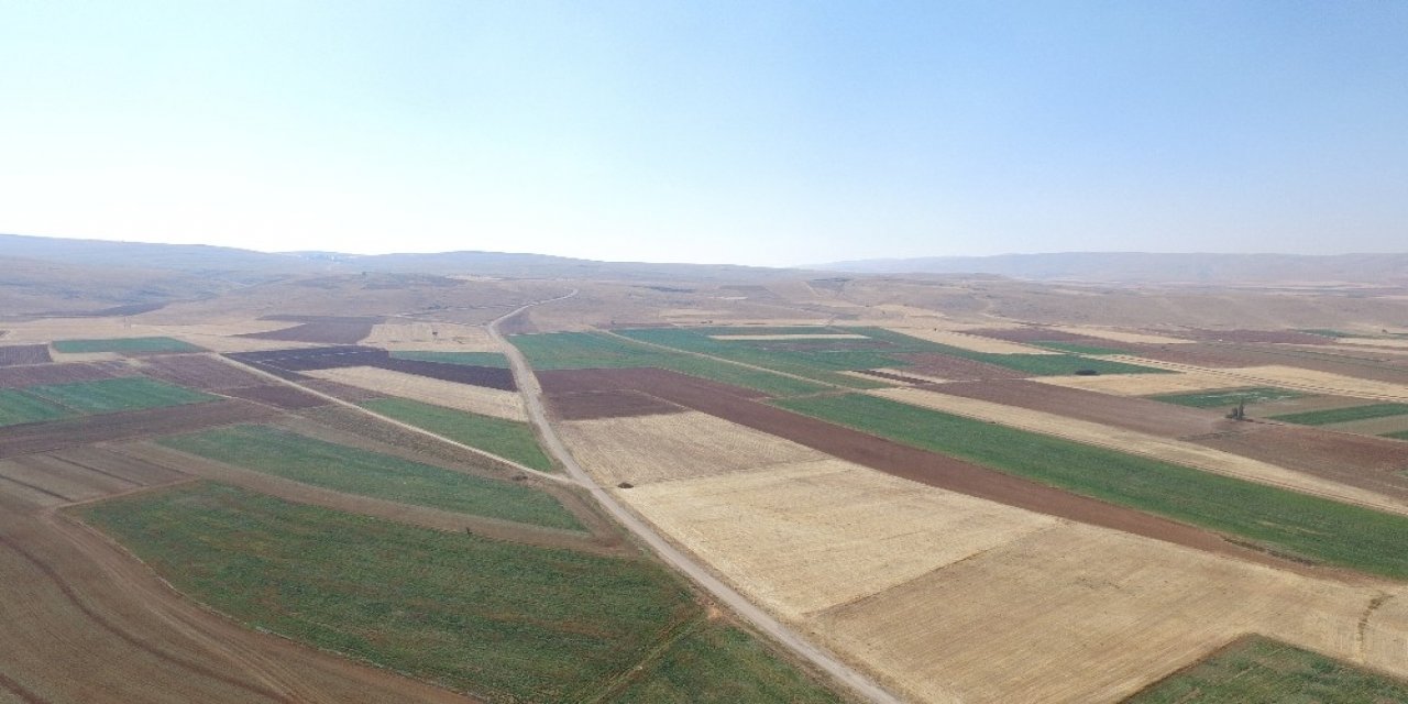 Elazığ Ve Malatya’da Bu Yıl 87 Bin 543 Hektar Alanda Toplulaştırma Yapıldı