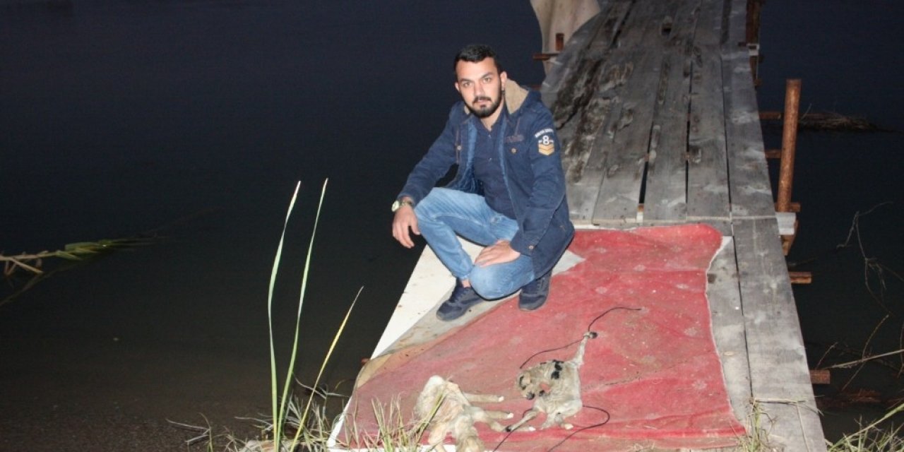 2 Yavru Kuzuyu Ayaklarına İp Bağlayıp Manavgat Irmağında Ölüme Terk Ettiler