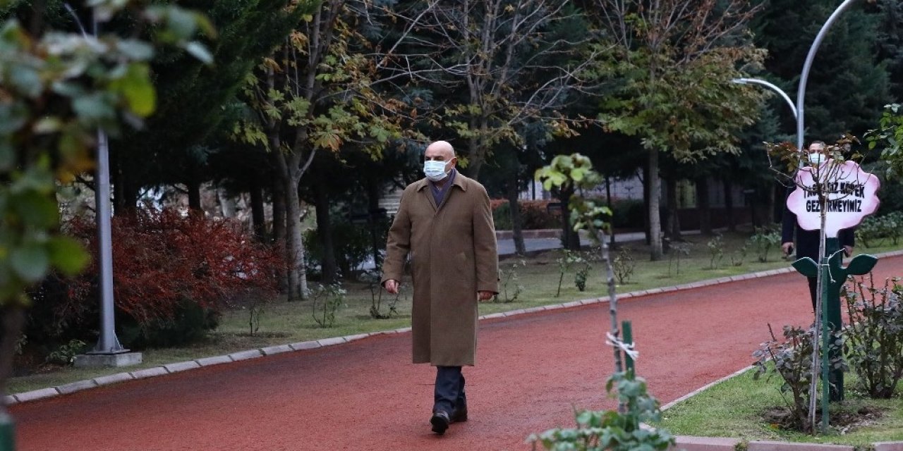 Sarının Ve Yeşilin Her Tonu Atatürk Botanik Bahçesi’nde