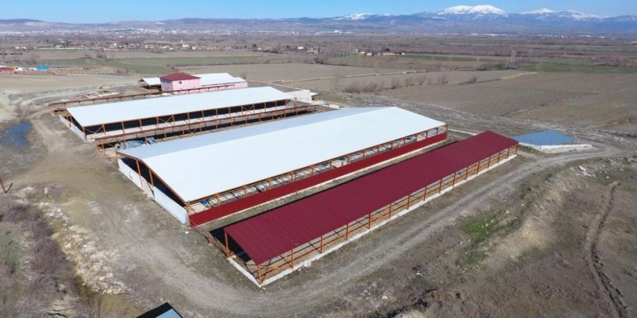 2 Yıl Önce Eylem Yapmışlardı, Köylerindeki 700 Başlık Besi Çiftliği Atıl Duruma Geldi