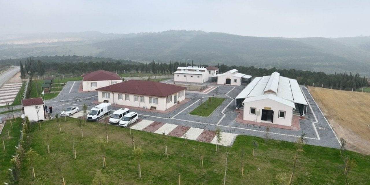 İnegöl Belediyesi 7 Bin 700 Can Dostuna Şifa Oldu