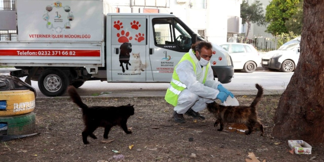 Bayraklı Belediyesi Sokağa Çıkma Kısıtlamasında Sokak Hayvanlarını Unutmadı