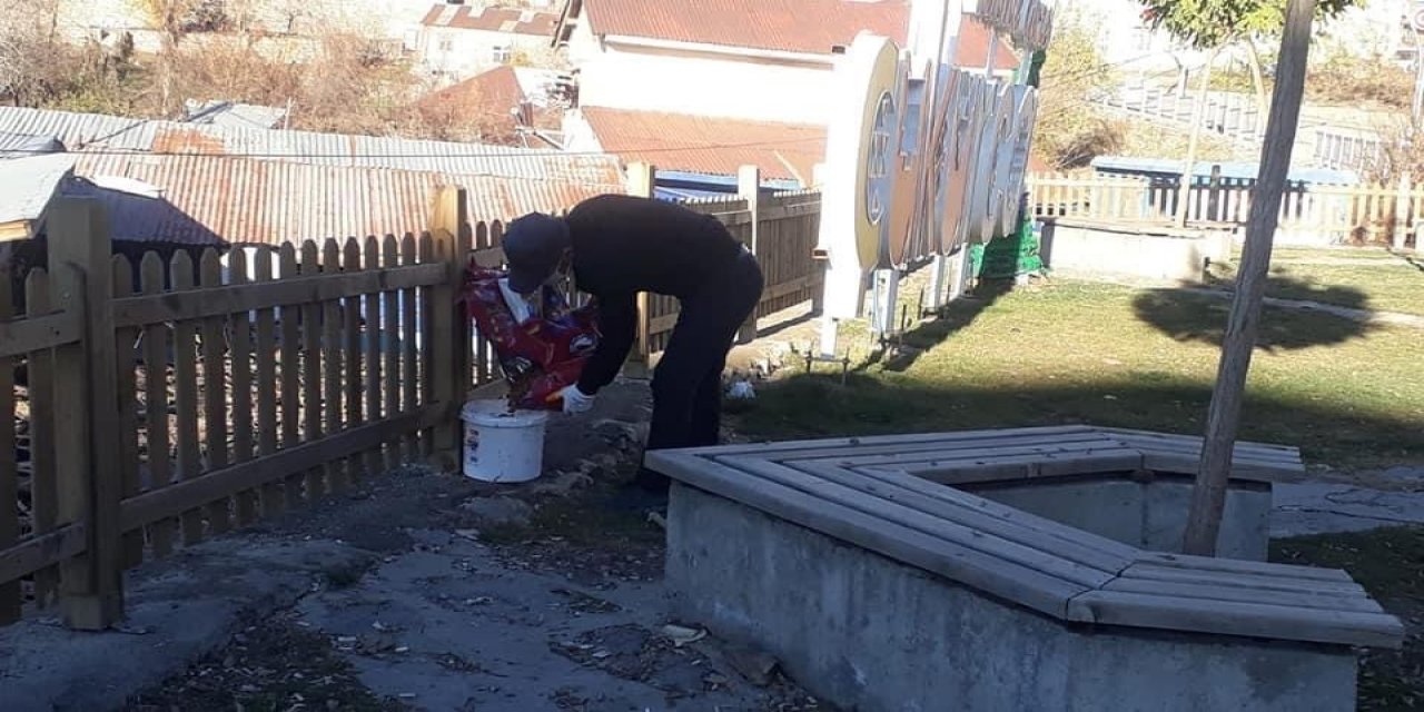 Çukurca Belediyesinden Sokak Hayvanlarına Mama Desteği