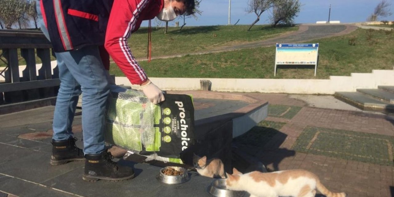 Samsun’da Sokak Hayvanları Unutulmadı