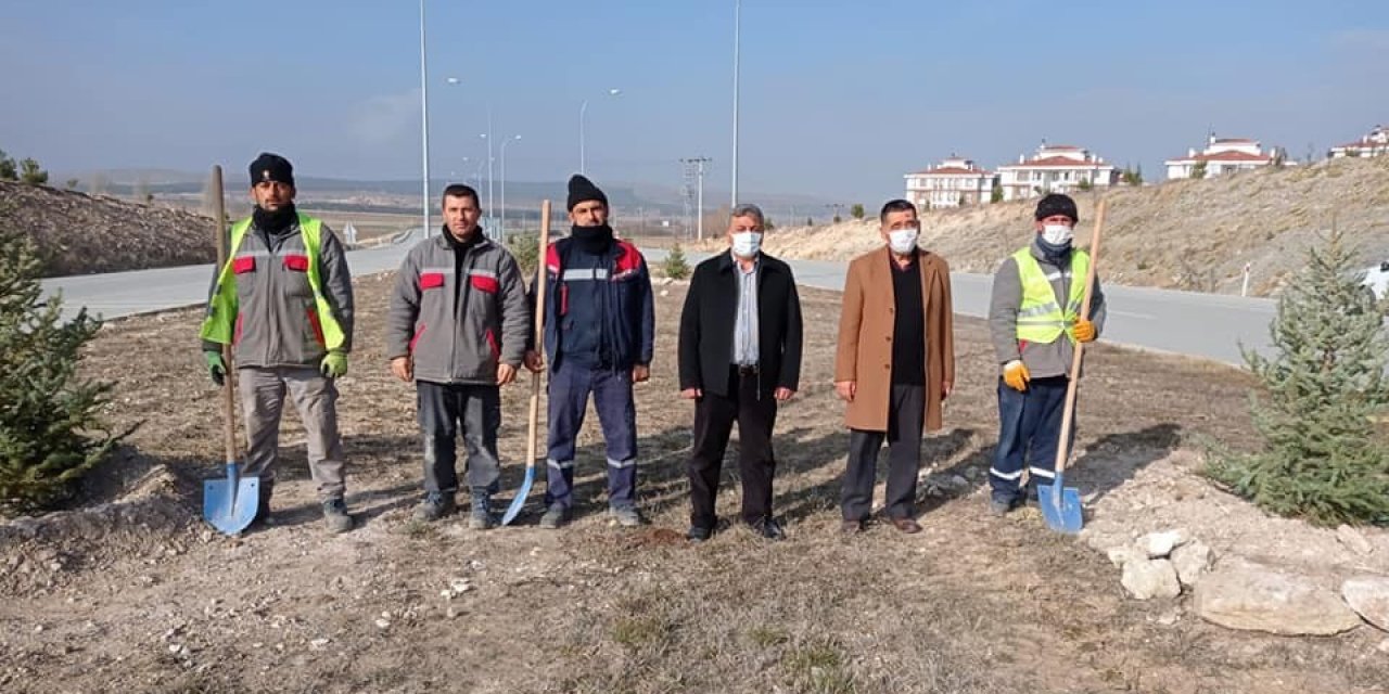 Çevre Yolundaki Ağaçlandırma Çalışmaları Sona Erdi