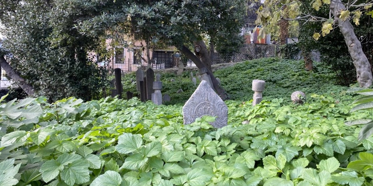 İstanbul’da Tarihi Hazirenin İçler Acısı Hali Yürekleri Burktu