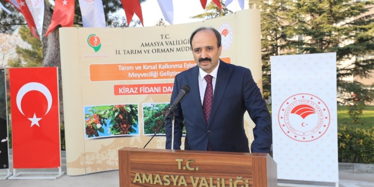 Amasya’da Hedef Kiraz İhracatını Artırmak