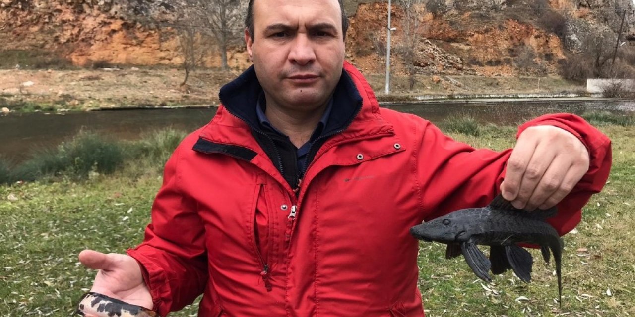 Suların Kalitesini Yok Eden İstilacı Balıklar Eskişehir’de Görüldü