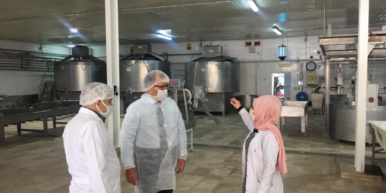 Altıntaş, Süt İşletmeleri’nde İncelemelerde Bulundu
