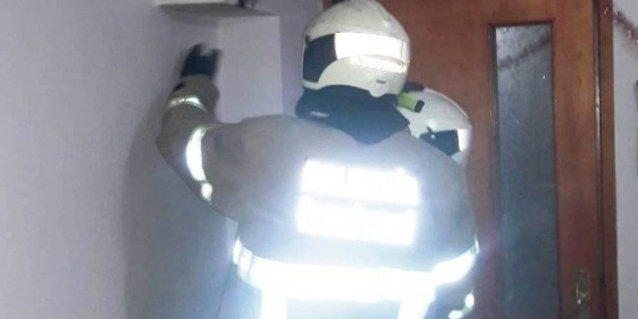 Burhaniye’de Baca Yangını Korkuttu