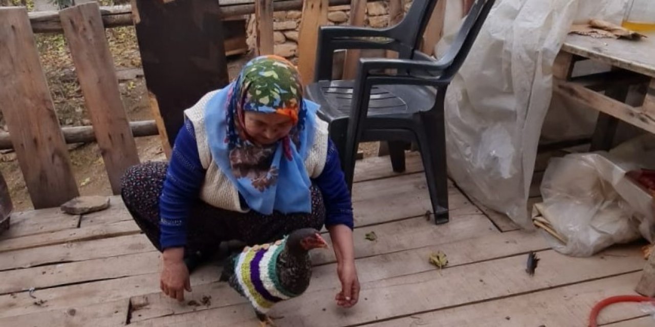 Tavukları Üşümesin Diye Kazak Ördü