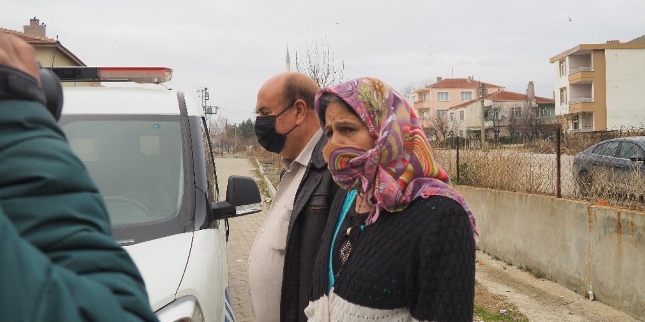 Edirne’de Bir Köpek Ölü Olarak Bulundu