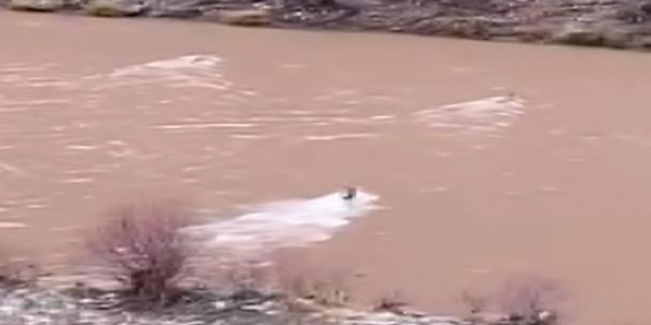 Tunceli’de 3 Kurt Çayı Böyle Geçti