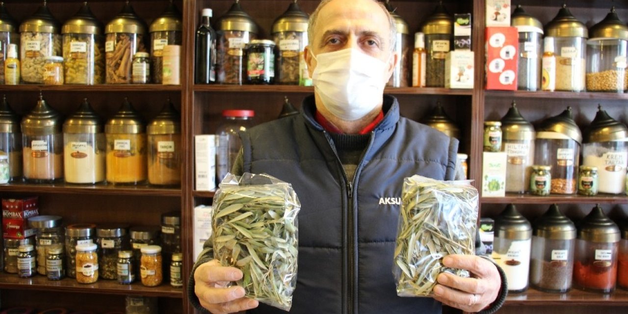 Aktarlarda Zeytin Yaprağı Yok Satıyor