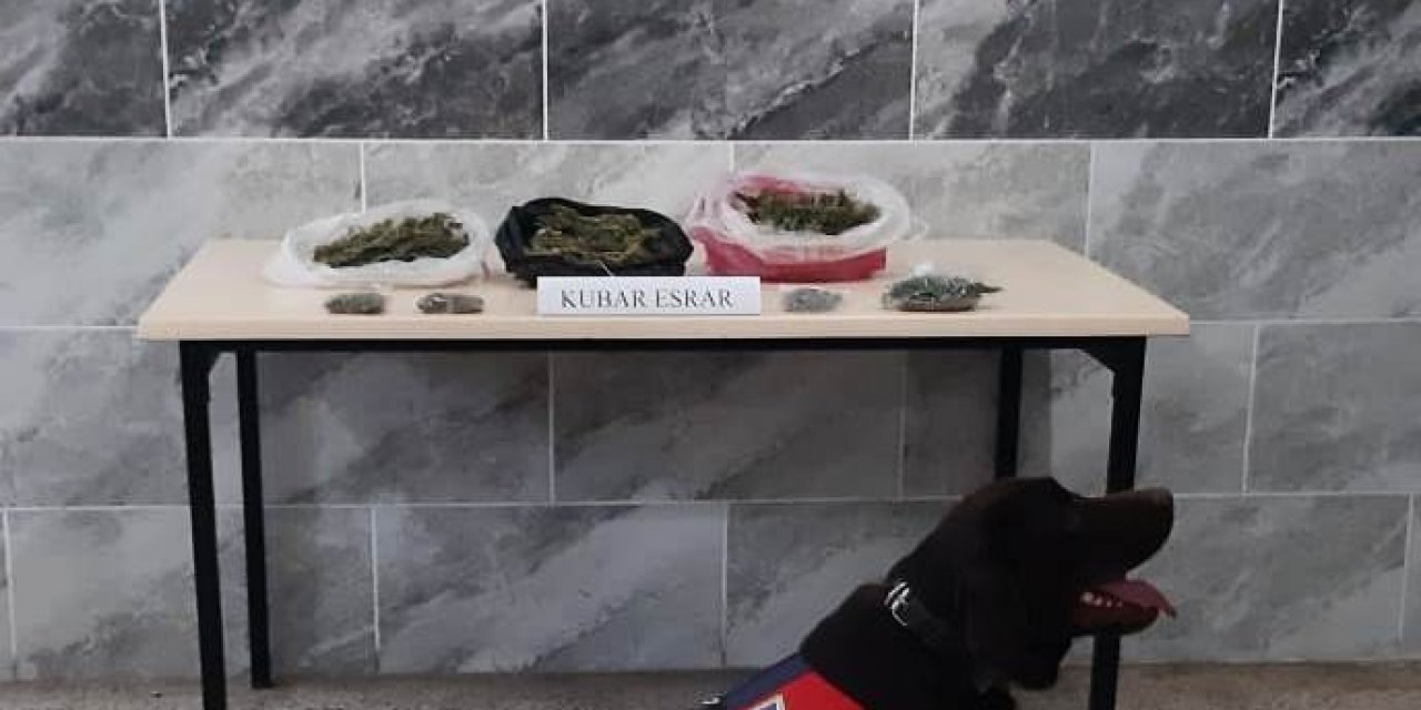 Aydın’da 250 Gram Kubar Esrar Ele Geçirildi