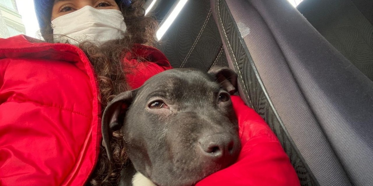 Sokakta Bulduğu Hasta Köpeği Ölümden Kurtardı