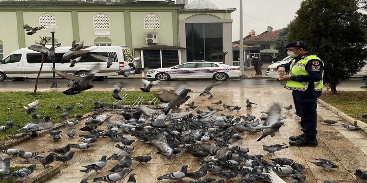 Jandarma Aç Kalan Güvercinleri Besledi
