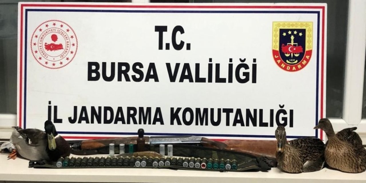 Ava Giden Avcılar Gelirken Jandarmaya Av Oldular