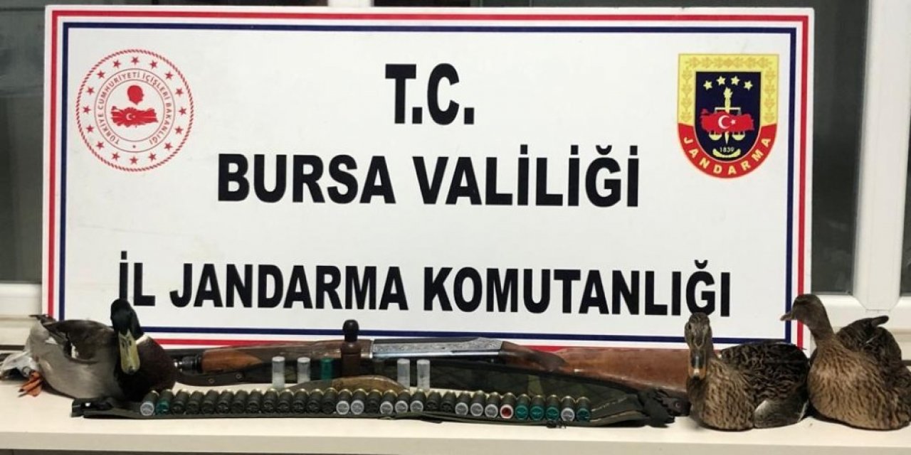 Kaçak Avcılar, Jandarma Yakalandı