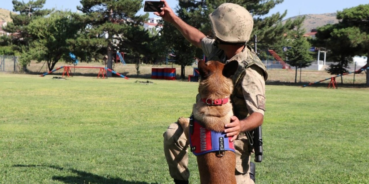 Jandarma, Can Dostları Köpekler İçin Kısa Film Çekti