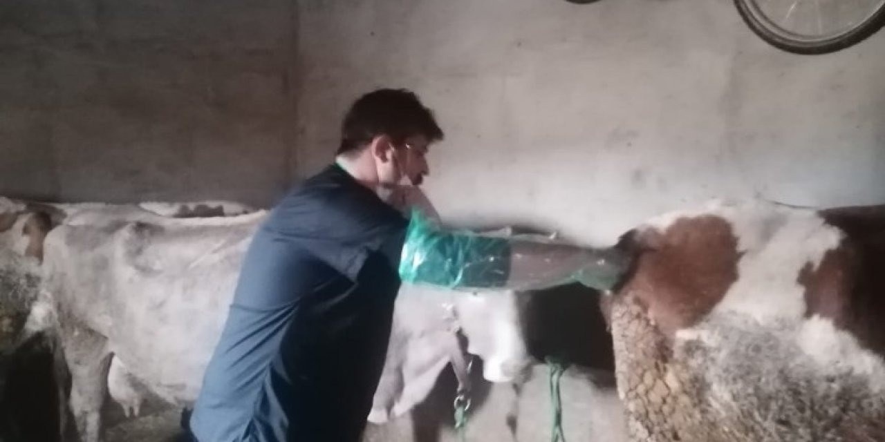 Van’da Suni Tohumlama Hizmeti