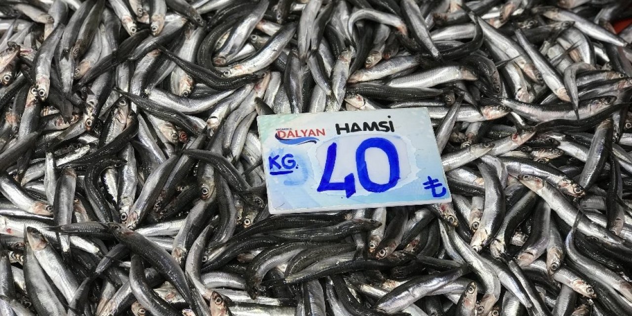 Balık Fiyatları Cep Yakıyor