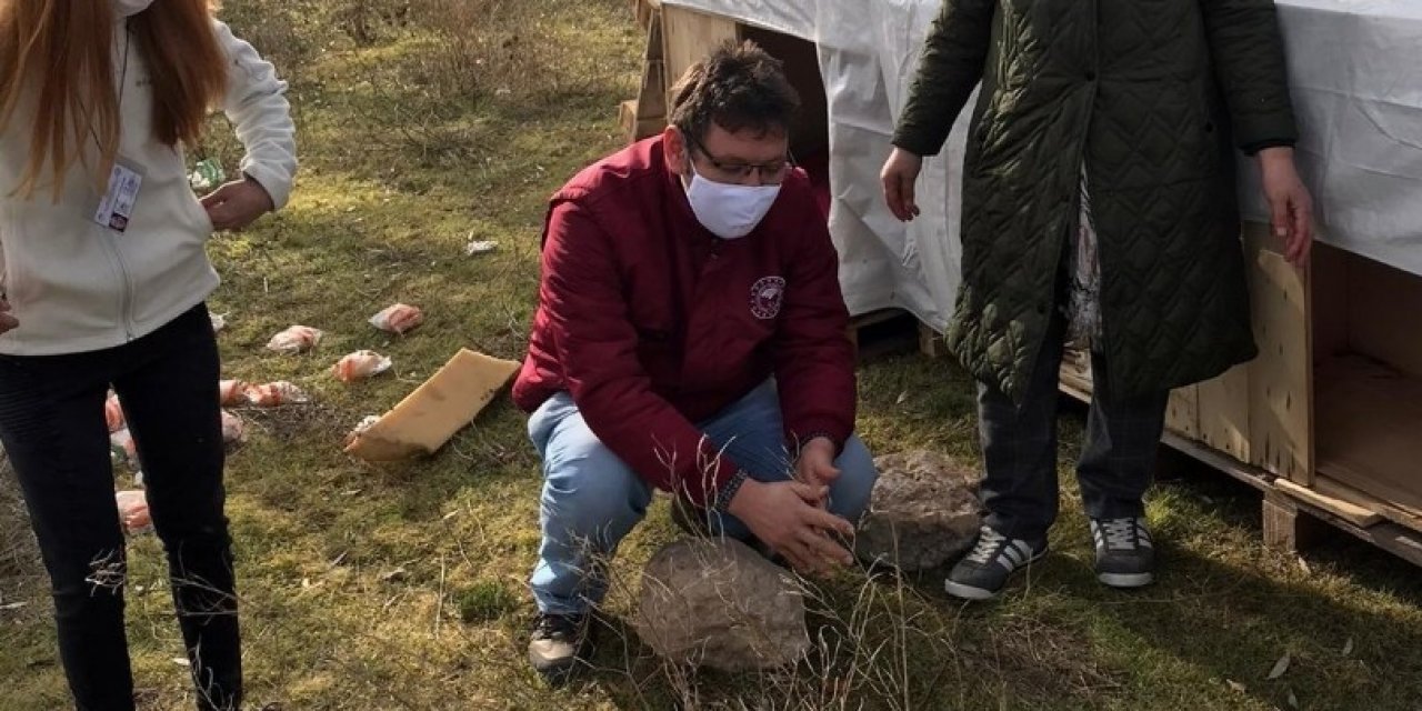 İl Tarım Ve Orman Müdürlüğü Sokak Hayvanlarını Unutmadı