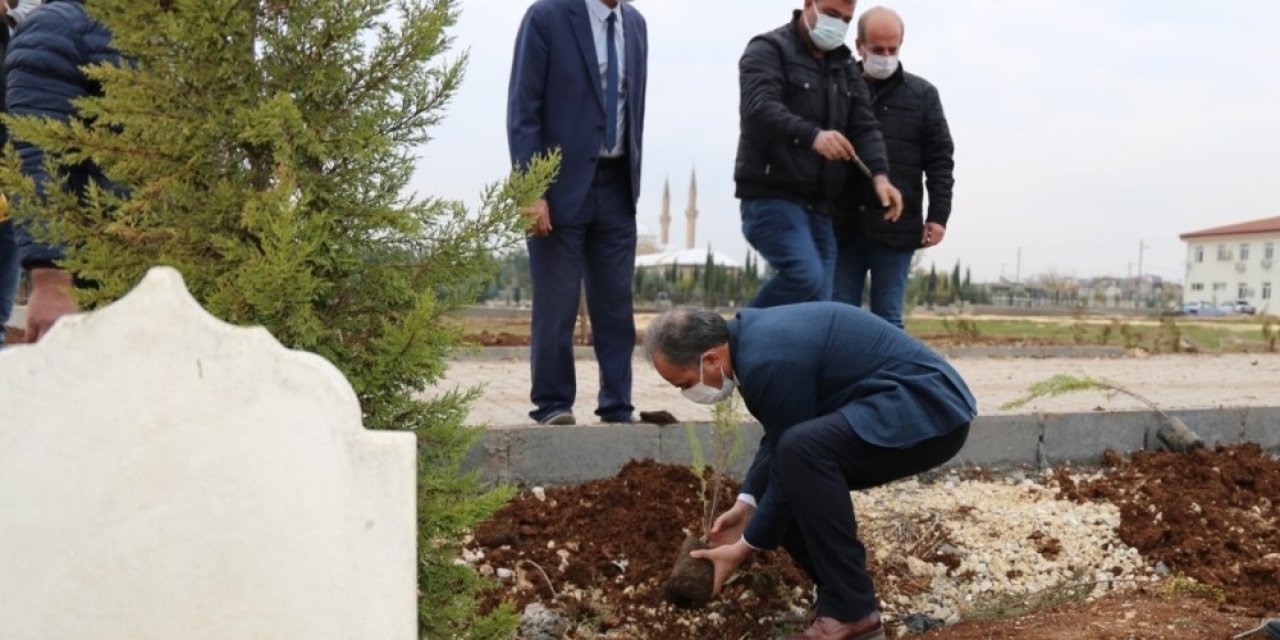 2020 Yılında Vefat Edenler Adına Ağaç Dikiliyor