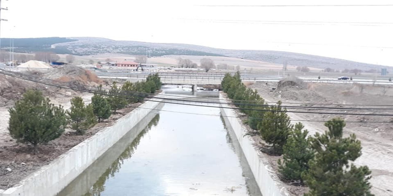 Altıntaş Avşar Deresi Ağaçlandırma Çalışmaları