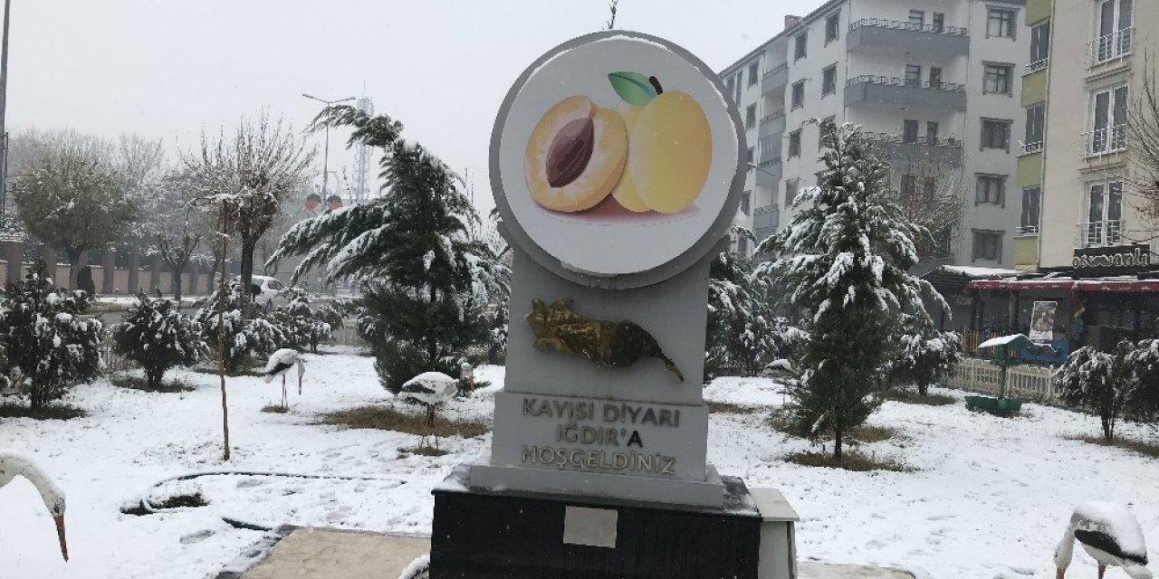 Kar Uyarısı Yapılan Iğdır Beyaz Gelinliğini Giydi