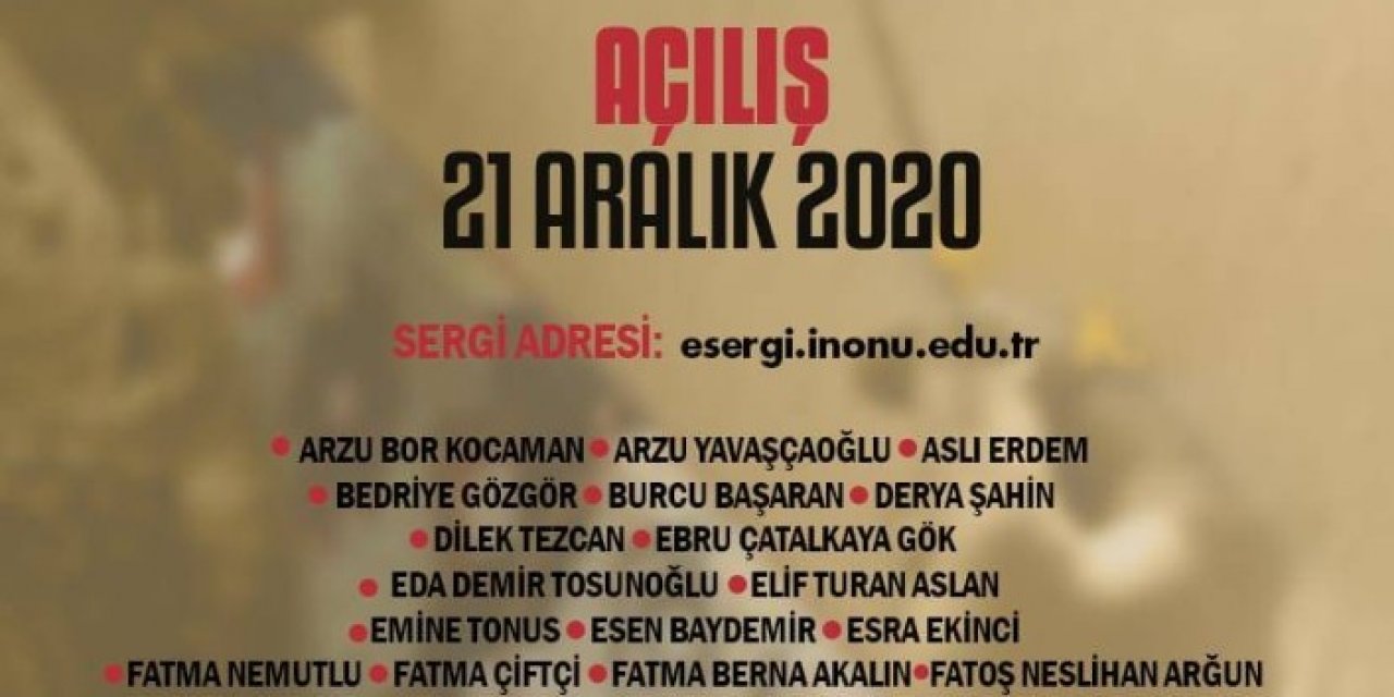 Halılar Resim İle Anlatılıyor