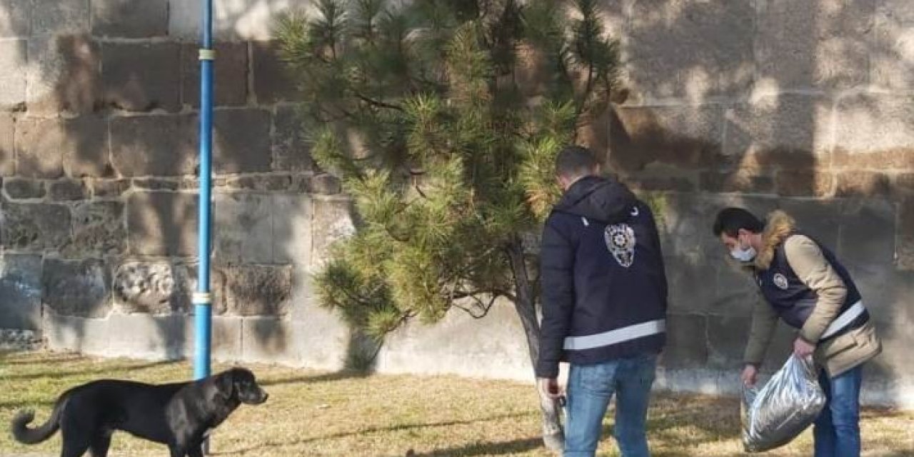 Hayvanların Kısıtlamadan Etkilenmemesi İçin Polis Doğaya Yem Bıraktı