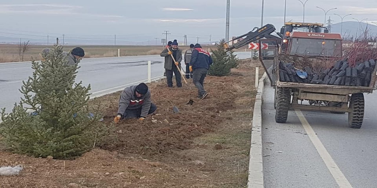 Altıntaş’ta Süs Bitkisi Dikimi