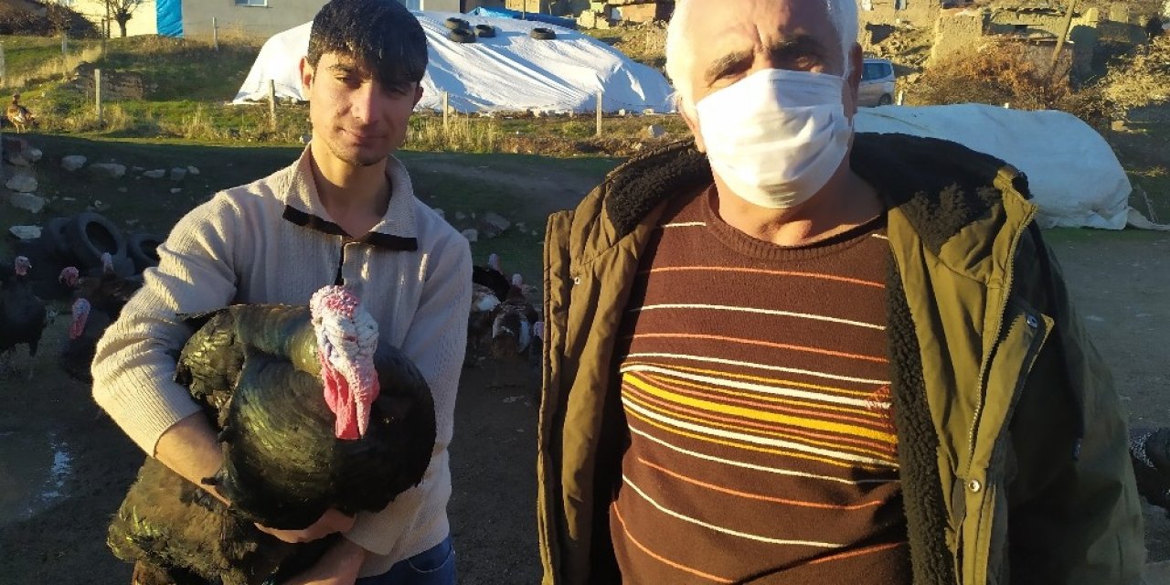 Elazığ’da Pandemi Ve Yasaklar Hindiye Talebi Azalttı