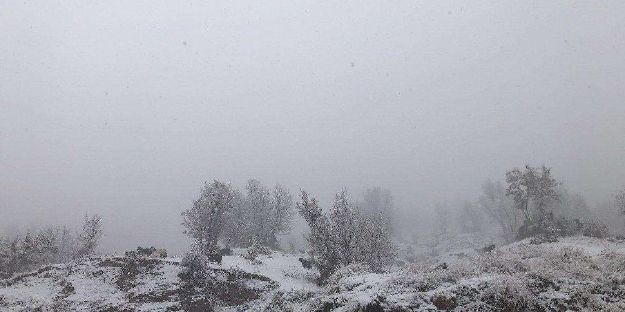 Dağda Kar Yağışına Yakalanan Çoban, Keçileriyle Mahsur Kaldı