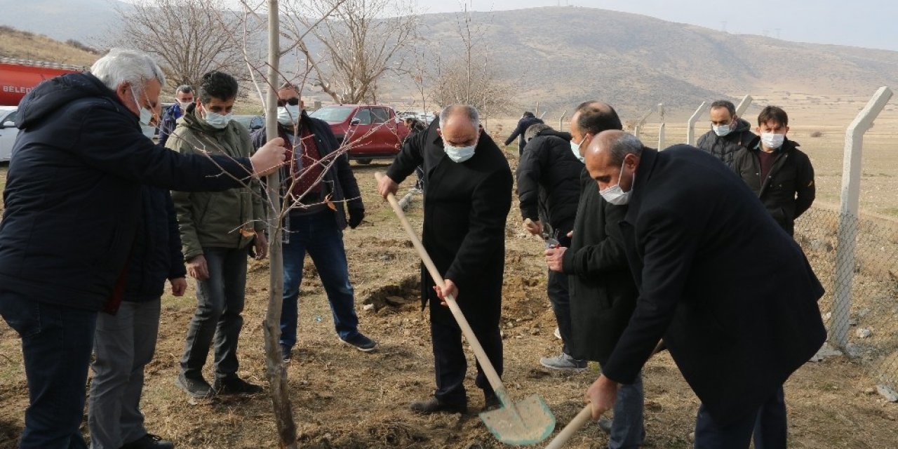 Yahyalı Belediyesi Ağaçlandırma Çalışmalarına Devam Ediyor