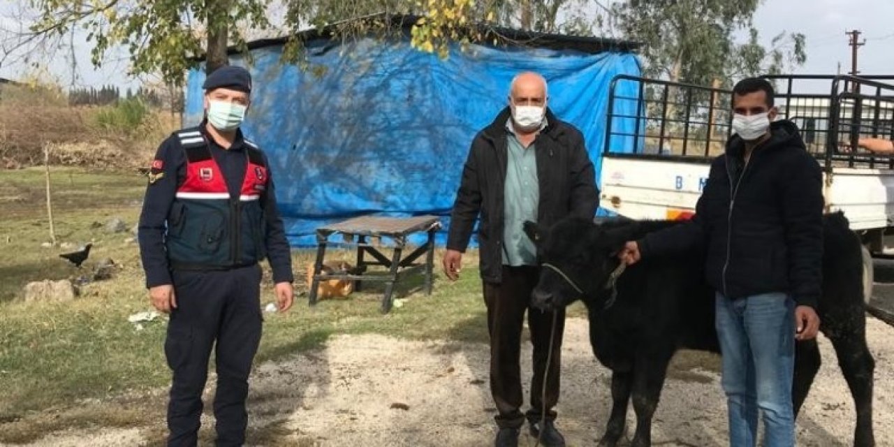 Çalınan Büyükbaş Sahibine Teslim Edildi