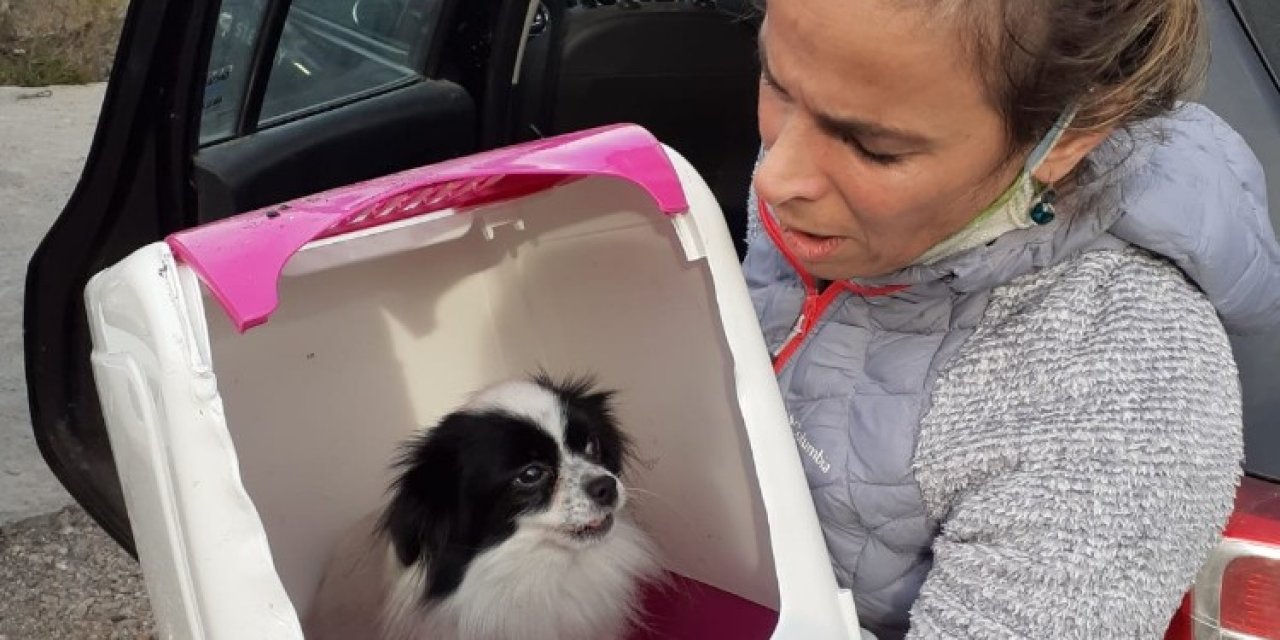 Ayvalık’ta Yanan Evden Sevimli Köpek Kurtarıldı