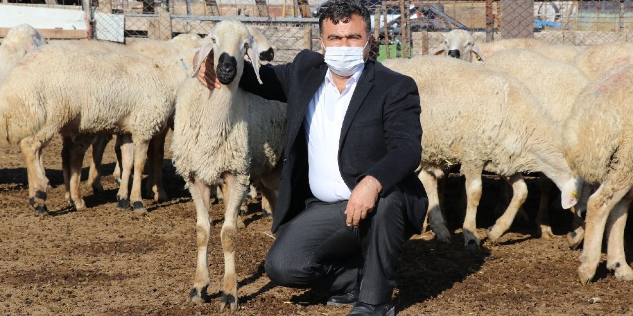 Küçükbaş Hayvanlar Meralardan Mandıralara Taşındı