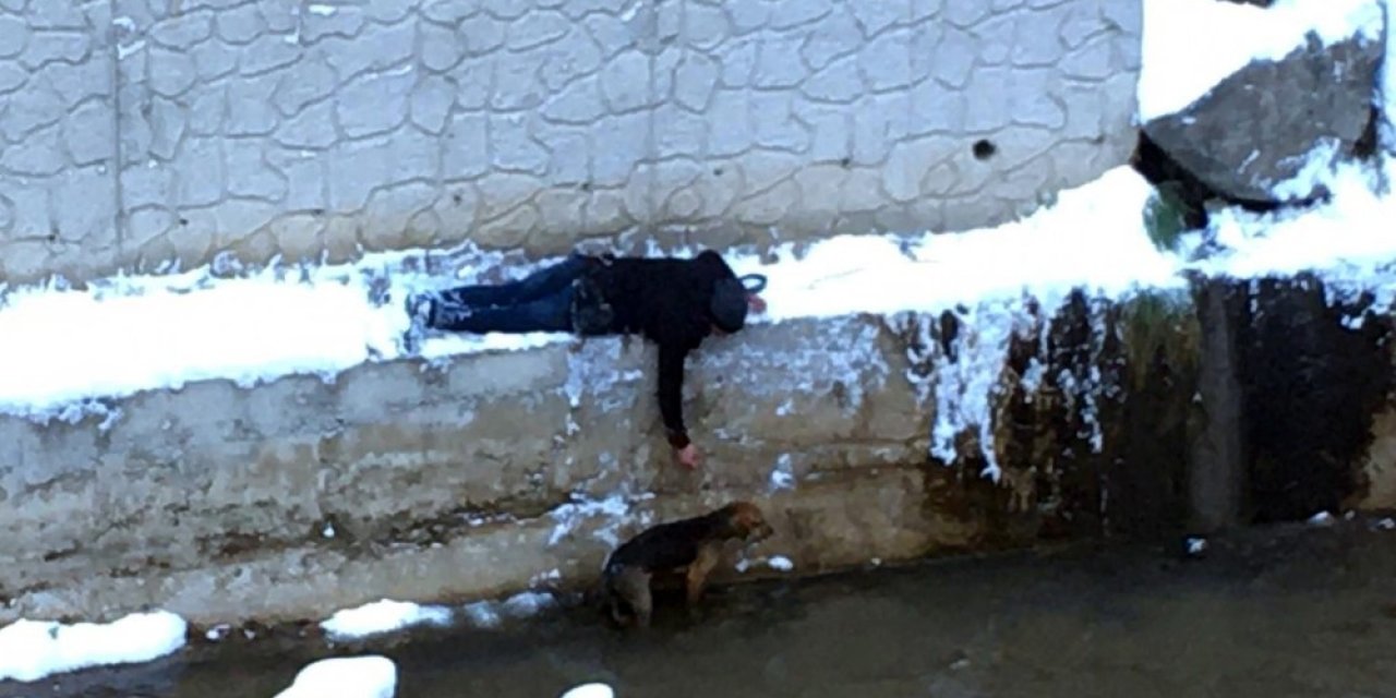 Sokak Köpeğini Kurtarmak İçin Donmayı Göze Aldı